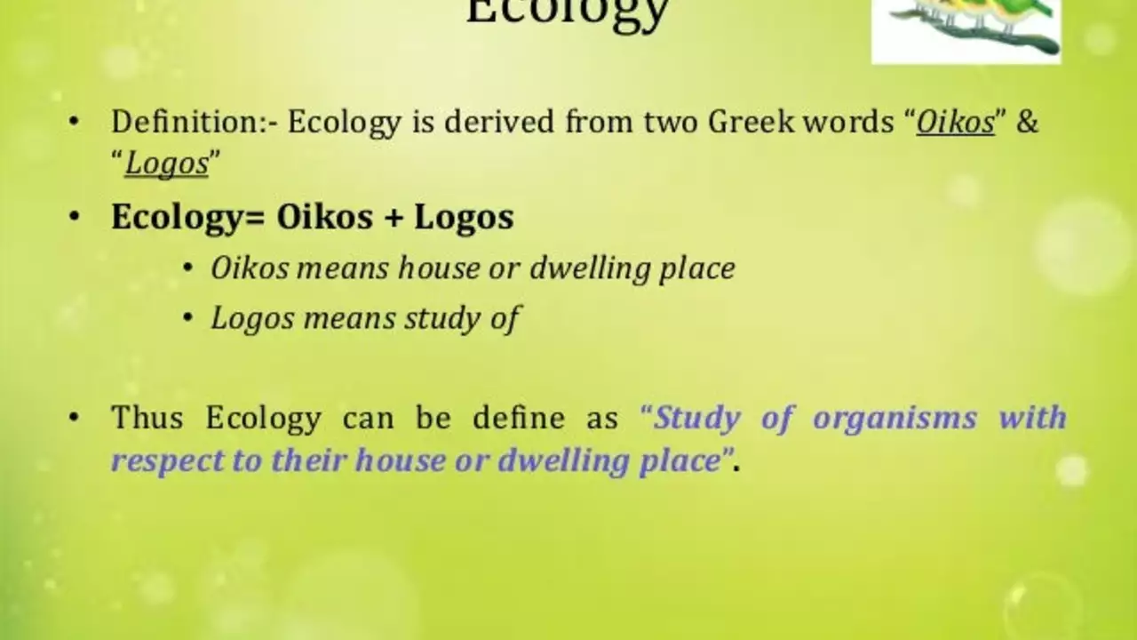 What is ecology and how is it divided?